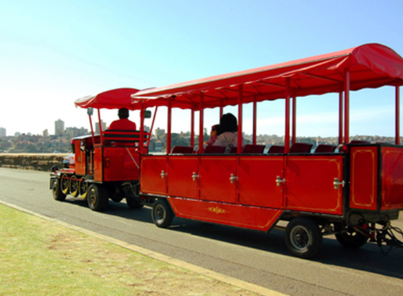 People Riding Trackless Train